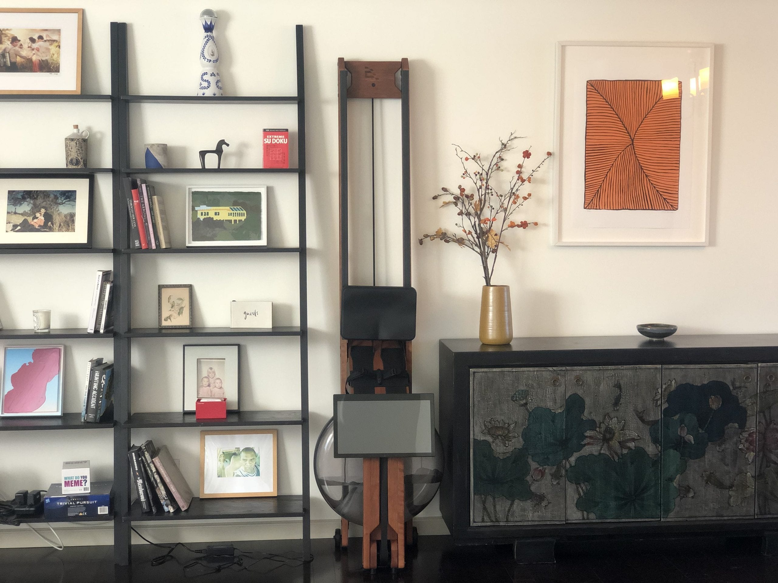 standing rower by shelf